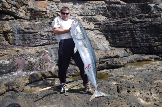 Obi's 30.2kg landbased Kingfish - Busted Fishing
