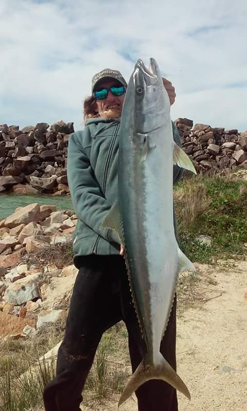 Kingfish on the slide from Slider